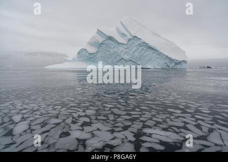 Kangertittivaq, Groenland, Danemark. Icebergs dans Røde Fjord, qui fait partie de Scoresby Sund. Der sogenannte Eisbergfriedhof Banque D'Images