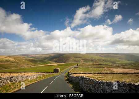 Royaume-uni, Angleterre, dans le Yorkshire, Swaledale, domaine des granges en pierre à côté de la route de Buttertubs à col Thwaite et Muker Banque D'Images