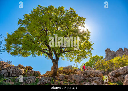 Torcal de Antequera, l'érosion des calcaires du Jurassique, travail sur la province de Málaga. Andalousie, Espagne du sud Europe Banque D'Images