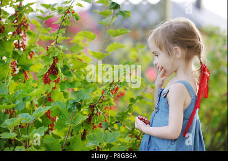 Adorable petite fille aux groseilles rouges dans un jardin Banque D'Images