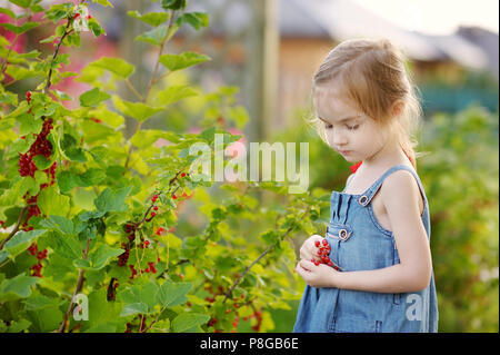 Adorable petite fille aux groseilles rouges dans un jardin Banque D'Images