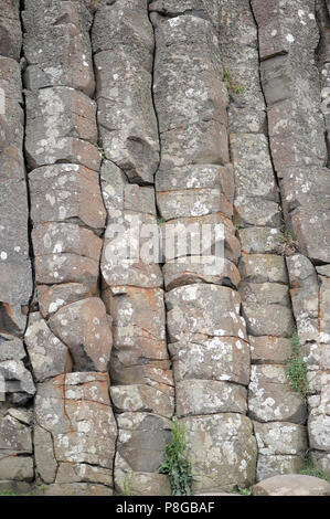 Les colonnes de basalte polygonale érodées et dépeignées dans les falaises au-dessus de la chaussée des Géants ressemblent à des piles de blocs. Bushmills, Comté D'Antrim, Nord Banque D'Images