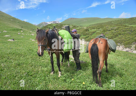 Guide de préparation pour cheval randonnées à cheval le Keskenkija Jyrgalan alpine Trek, Kirghizistan, Banque D'Images