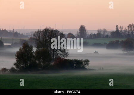 Goerlsdorf, Allemagne, brume le matin sur les champs de l'Uckermark Banque D'Images