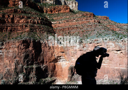 Silhouette sur une falaise ensoleillée, un randonneur prend une photo sur Bright Angel Trail, Grand Canyon, Arizona, USA. Banque D'Images