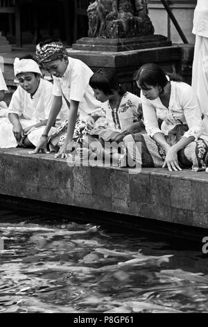 Alimentation de la Pura BALINAIS KOI TEMPLE TIRTA EMPUL complexe durant le festival GALUNGAN - TAMPAKSIRING, BALI, INDONÉSIE Banque D'Images