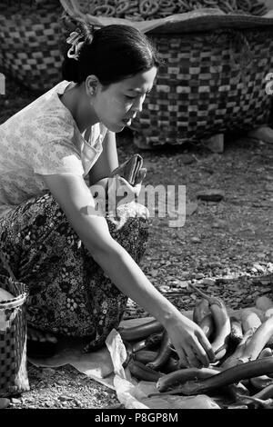 L'achat de l'aubergine au marché hebdomadaire à HASPRES THAUK - Lac Inle, MYANMAR Banque D'Images