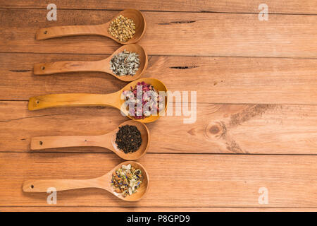 Cuillères en bois avec différentes herbes pour perfusion, style rustique, sur fond de bois. Banque D'Images