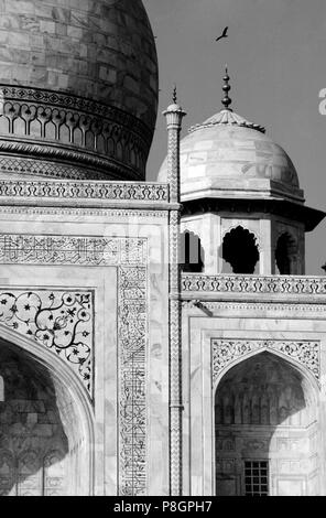 Détail de petits dômes de la Taj Mahal, construit par l'empereur Shahjahan pour son épouse en 1653 - AGRA, INDE Banque D'Images