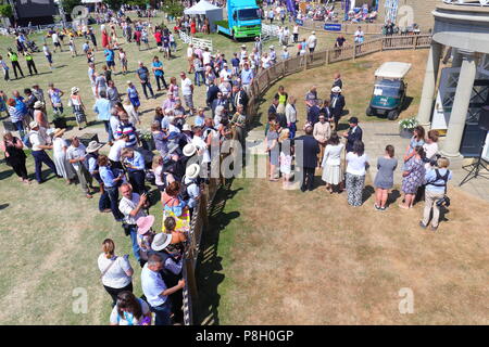Harrogate, Royaume-Uni. 11 juillet, 2018. Les visiteurs d'essayer d'apercevoir la princesse Anne lors de sa participation à la 160e Grand Yorkshire Show à Harrogate Yorkshire Crédit : Pics/Alamy Live News Banque D'Images