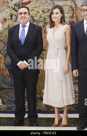 Madrid, Madrid, Espagne. 12 juillet, 2018. Reine Letizia d'Espagne assiste à une audience au Conseil général d'une fois à Zarzuela Palace le 12 juillet 2018 à Madrid, Espagne Crédit : Jack Abuin/ZUMA/Alamy Fil Live News Banque D'Images