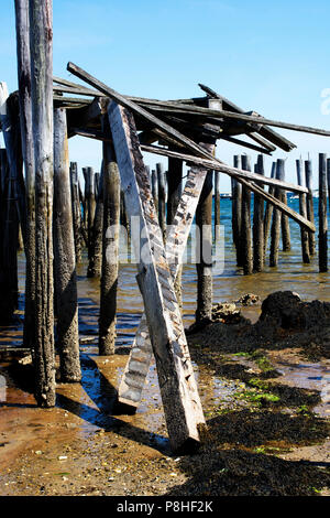 Les pilotis d'un quai abandonné à Provincetown, Massachusetts à Cape Cod, USA Banque D'Images