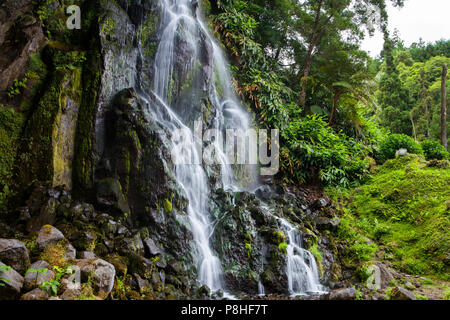 Cascade dans le Parque Natural da Ribeira dos Caldeiroes, Sao Miguel, Açores Banque D'Images