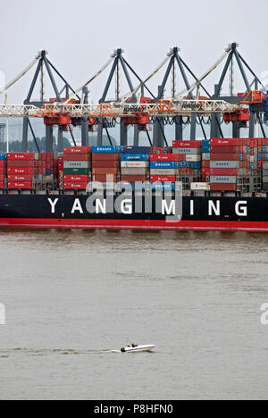 Container-Frachter Ein der Reederei YANG MING liegt am Hamburger Container-Terminal EUROGATE und wird bedient. Banque D'Images