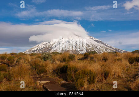 Le Mont Taranaki détails, mont. Parc National d'Egmont, Nouvelle-Zélande Banque D'Images