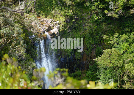 Scenic Alexandra falls dans la jungle de l'Ile Maurice Banque D'Images