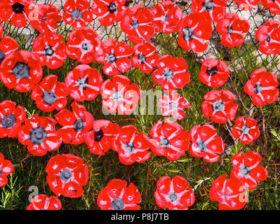 Coquelicots du souvenir fabriqué à partir de bouteilles de boissons en plastique recyclé relié à un filet sur un fond d'herbe Banque D'Images