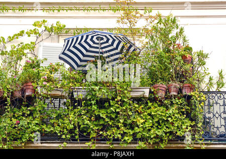 Un parasol à rayures bleues et blanches sur un balcon étouffés dans les plantes, vu à Paris (France) bien illustré la notion de 'staycation'. Banque D'Images