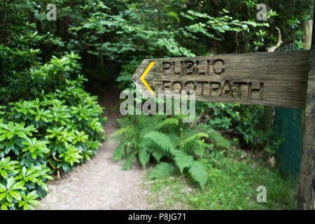 Fingerpost en bois sentier public fléchage un chemin qui s'éteint dans un bois, dans le West Sussex, Angleterre, Royaume-Uni. Banque D'Images