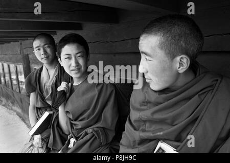 Gelukpa moine bouddhiste tibétain dans le monastère Garther Dhokham - Kham, province du Sichuan, Chine (Tibet), Banque D'Images