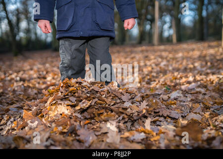 Boy standing profondément dans les feuilles tombées à l'automne dans une forêt Banque D'Images