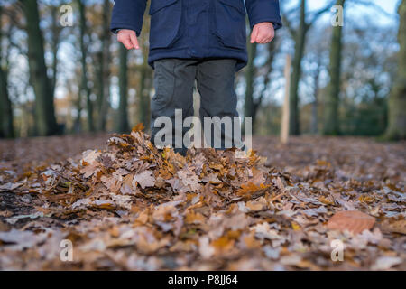 Boy standing profondément dans les feuilles tombées à l'automne dans une forêt Banque D'Images