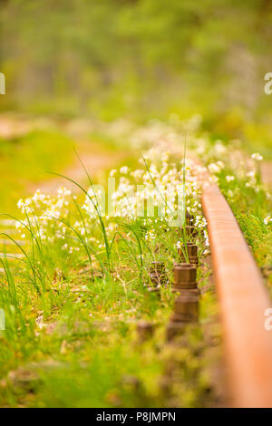 Rails de l'ordre de fleurs Banque D'Images