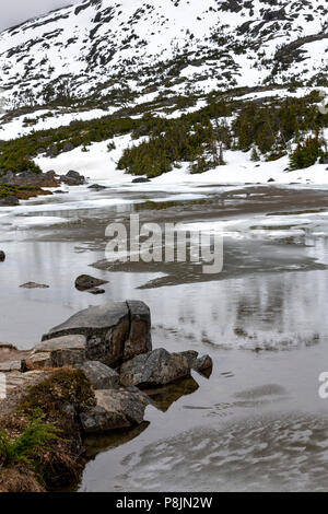 Vallée tourmentée, Skagway, Alaska, United States, USA, le mardi 22 mai, 2018. Banque D'Images