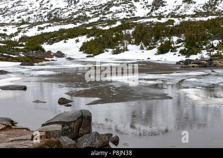 Vallée tourmentée, Skagway, Alaska, United States, USA, le mardi 22 mai, 2018. Banque D'Images