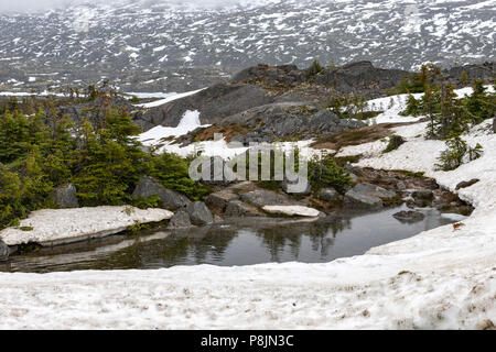 Vallée tourmentée, Skagway, Alaska, United States, USA, le mardi 22 mai, 2018. Banque D'Images