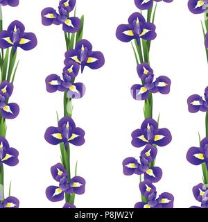 Fleur d'Iris violet bleu foncé sur fond blanc. Vector Illustration. Illustration de Vecteur