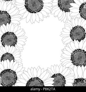 Bordure de tournesol isolé sur fond blanc. Vector Illustration. Illustration de Vecteur