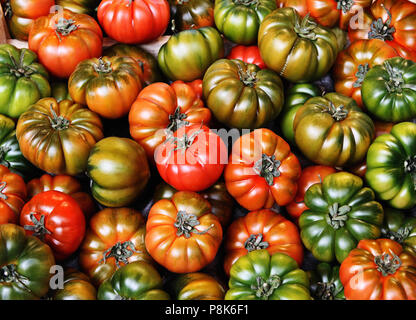 Différents types de tomates multicolores dans un fort au marché. Banque D'Images