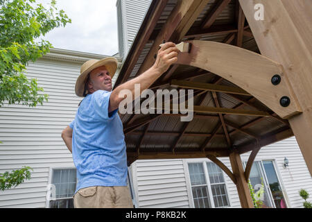 Homme d'âge moyen d'une nouvelle coloration gazebo en bois dans son arrière-cour dans un angle faible vue rapprochée dans un thème bricolage Banque D'Images