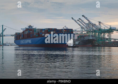 Au départ de l'EXPÉDITION DE COSCO, CSCL AUTOMNE, à gauche, et l'Evergreen Container Ship, JAMAIS SMART, chargement et déchargement dans le EVERPORT Terminal à conteneurs. Banque D'Images