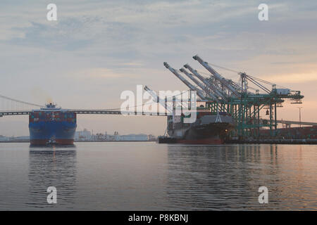 Au départ de l'EXPÉDITION DE COSCO, CSCL AUTOMNE, à gauche, et l'Evergreen Container Ship, JAMAIS SMART, chargement et déchargement dans le EVERPORT Terminal à conteneurs. Banque D'Images