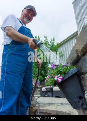 Heureux propriétaire d'arroser ses plantes ornementales pétunia dans un pot suspendu sur son mur à l'aide d'un patio et le soutien de l'injecteur dans un low angle view Banque D'Images