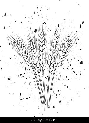 Bande de vector les épis de blé noir et blanc dans le style grunge Illustration de Vecteur