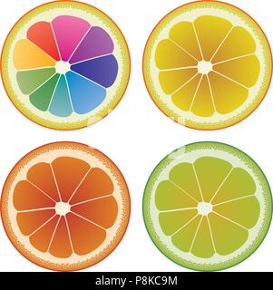 Vector set de rondelles d'agrumes colorés Illustration de Vecteur