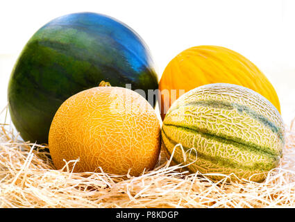 Groupe d'assortiment de melons cantaloup, melon miel ,et siècle-melon fond clair à la copie d'annonce l'espace. Banque D'Images