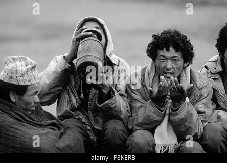 Les hommes boivent du Dolpo CHANG (alcool) au cours d'un festival bouddhiste tibétain dans la vallée de la TARAP N - DOLPO, au Népal Banque D'Images