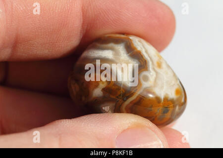Agate Bubblegum, auto-prélevés dans le Buffalo Gap National Grasslands du Dakota du Sud, États-Unis. Banque D'Images