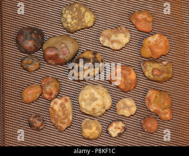 Agate Bubblegum, auto-prélevés dans le Buffalo Gap National Grasslands du Dakota du Sud, États-Unis. Banque D'Images