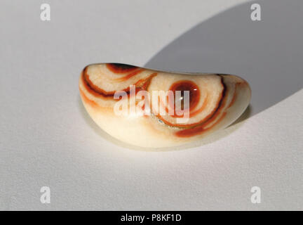 Agate Bubblegum, auto-prélevés dans le Buffalo Gap National Grasslands du Dakota du Sud, États-Unis. Banque D'Images