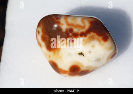 Agate Bubblegum, auto-prélevés dans le Buffalo Gap National Grasslands du Dakota du Sud, États-Unis. Banque D'Images