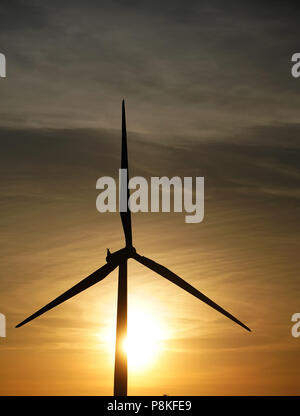 Thames Estuary, World's largest wind qui est situé dans l''estuaire de la Tamise. Photo par Dennis Brack Banque D'Images