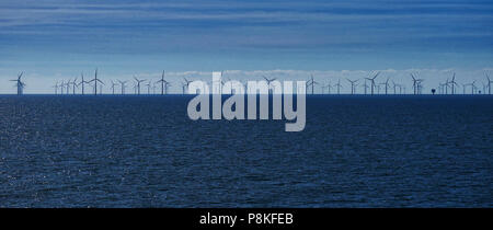 Thames Estuary, World's largest wind qui est situé dans l''estuaire de la Tamise. Photo par Dennis Brack Banque D'Images