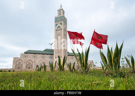 Mosquée Hassan II à Casablanca avec drapeaux marocains et intérêt foregrond Banque D'Images