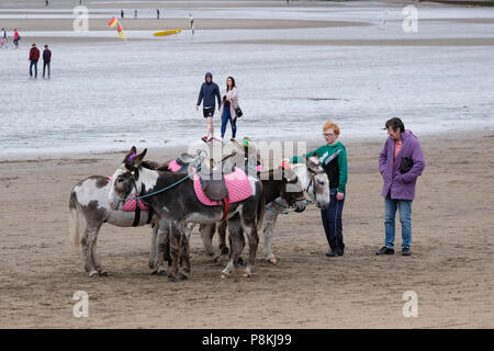 Course de deux ânes sur la plage de South Bay, Scarborough, Yorkshire, UK avec d'autres personnes bénéficiant d'une plage de sable derrière eux Banque D'Images