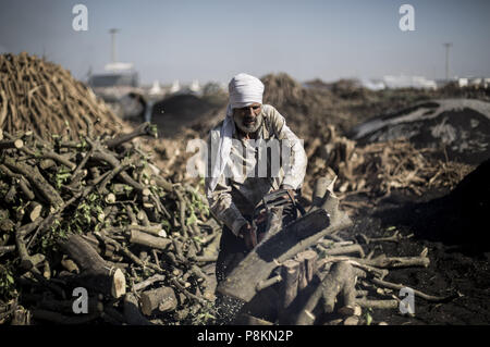 11 juillet 2018 - La ville de Gaza, la bande de Gaza, la Palestine - charbon palestinien Ashraf Abu travailleur al-Hattab bois pieux à l'Al Habbash site de production, à l'est du camp de réfugiés de Jabaliya, dans le nord de la ville de Gaza, bande de Gaza, le 11 juillet 2018. Le Al Habbash la fabrication du charbon est le plus grand producteur de la bande de Gaza. Sept hommes travail tout au long de l'année, en particulier pendant les vacances d'hiver et les périodes où le charbon est très en demande. Alors que les travailleurs de réduire divers types d'arbres, le bois de chauffage est généralement utilisé pour faire du charbon. L'arbre d'agrumes est très utile et le plus cher, mais l'Al Habbash w Banque D'Images